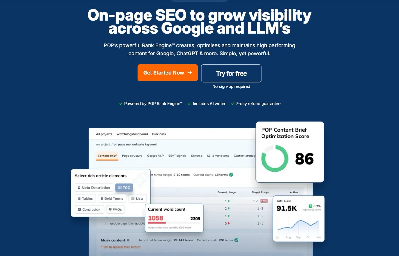 Best AI SEO experts, PageOptimizer Pro on-page SEO tool for Google and LLMs